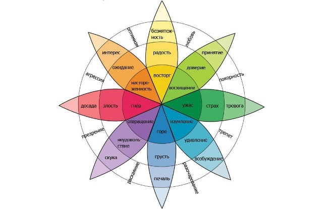 Колесо эмоций Плутчика